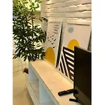 Vg Fun Fortaleza Temporada